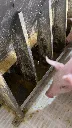 Unifeeder-nursery-05.webp