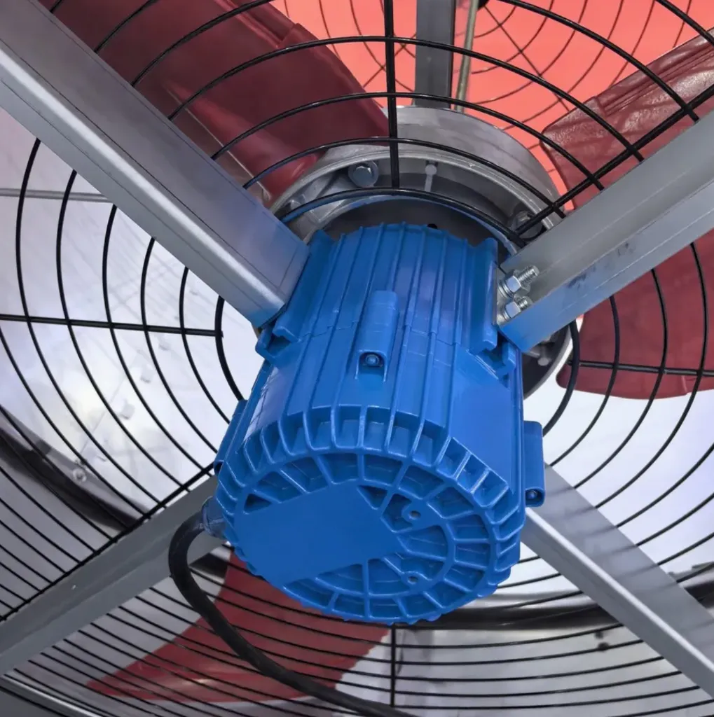 fan57.webp
