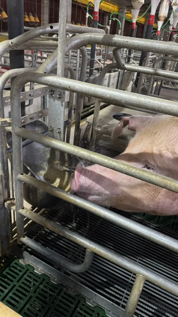 WhatsApp Image 2026-02-06 at 08.40.40.webp