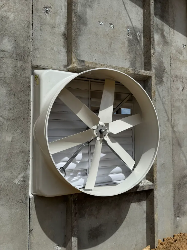 WhatsApp Image 2026-01-29 at 08.46.46 (3).webp