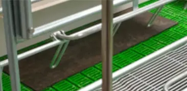 Piglet mat - Farrowing pen